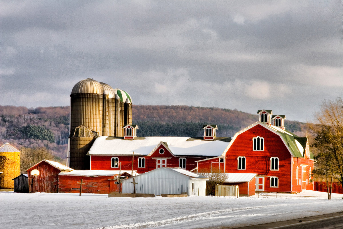 Red Barn Christmas Cards | Pack of 10