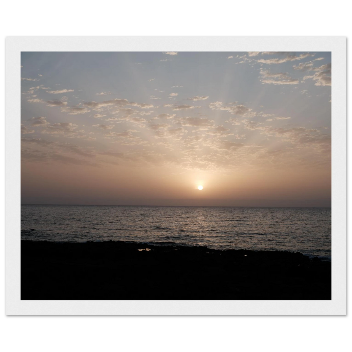 42c6d3f9-2369-43fa-8c64-3a7cc5991a3e