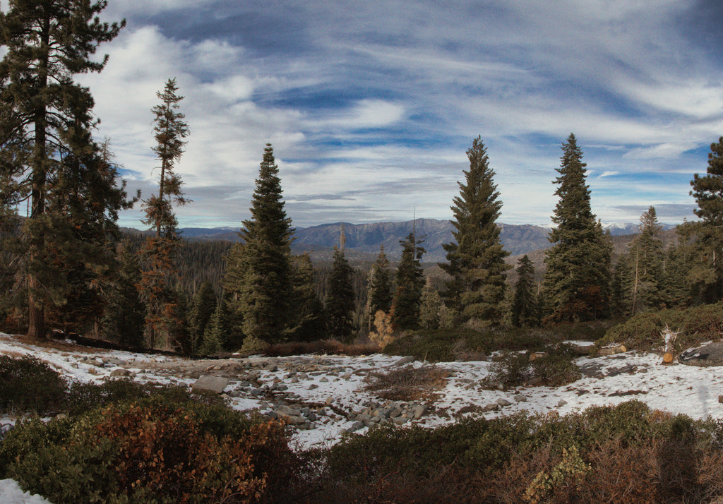 Kings Canyon Snowfall | Canvas Landscape Print | LuPa Imaging