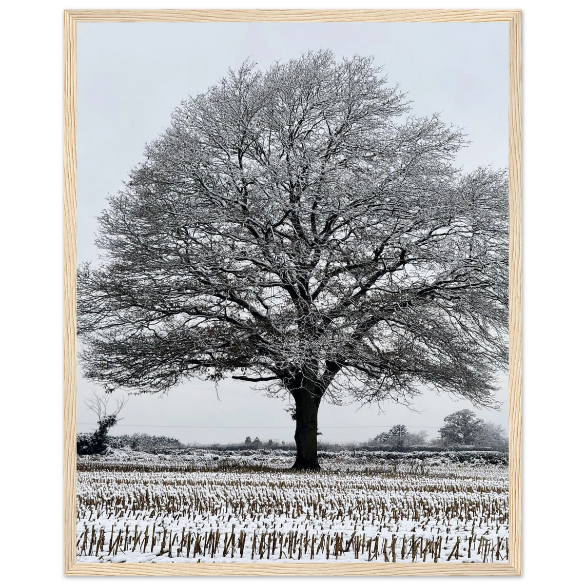 cb431716-44e5-4800-926b-ef3d4b9bb31f